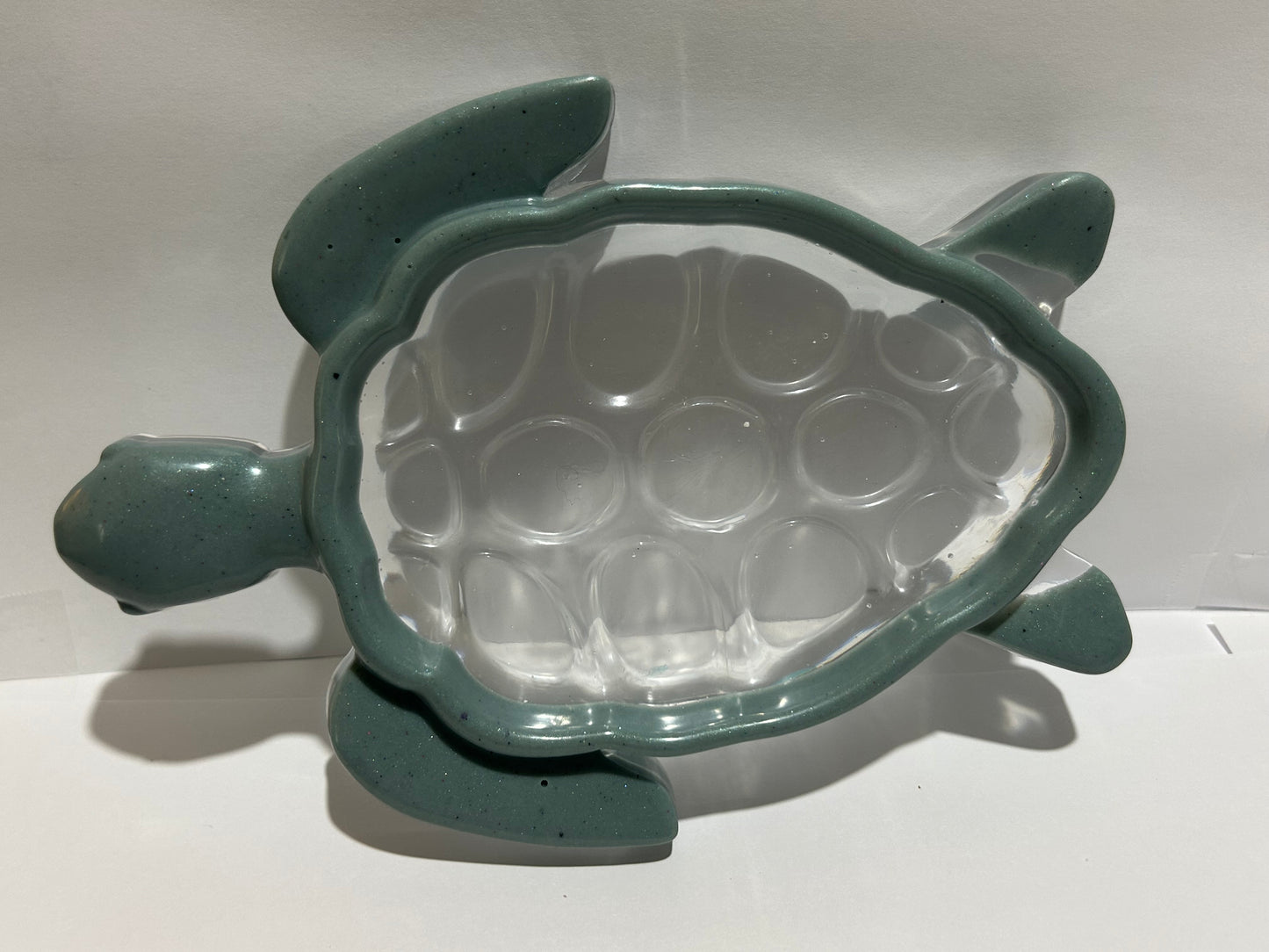 Dark Gray/Clear Turtle Tray